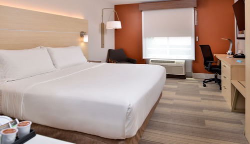 Habitación estándar, 1 cama de matrimonio grande (Mobility Roll-In Shower)