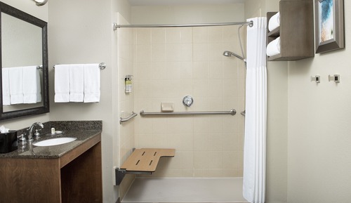 Suite estudio, 1 cama de matrimonio grande, cocina (Roll-In Shower)