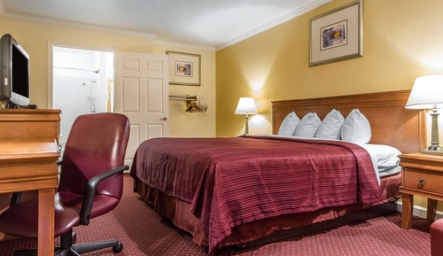 Habitación estándar, 1 cama de matrimonio grande, no fumadores