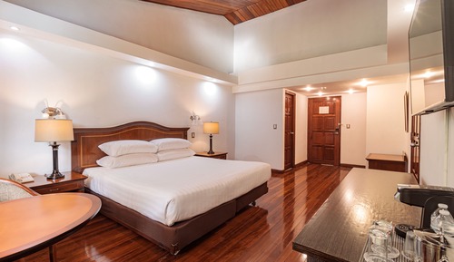 Habitación estándar, 1 cama de matrimonio grande, no fumadores