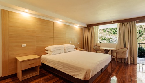 Habitación estándar, 1 cama de matrimonio grande, no fumadores (Premium)