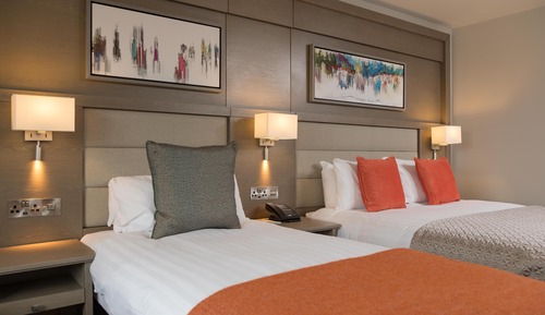 Habitación estándar con 1 cama doble o 2 individuales