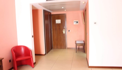 Suite junior