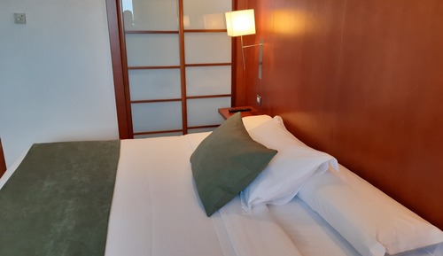 Habitación doble, 1 cama doble o 2 individuales