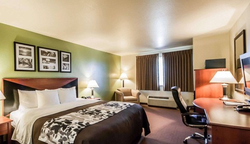 Habitación estándar, 1 cama de matrimonio grande, no fumadores