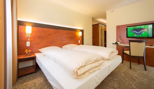 Habitación estándar doble