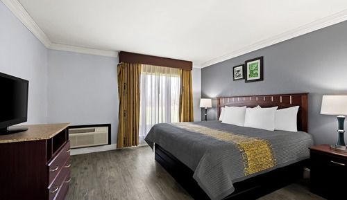 Suite ejecutiva, 1 cama de matrimonio grande con sofá cama, no fumadores, cocina básica
