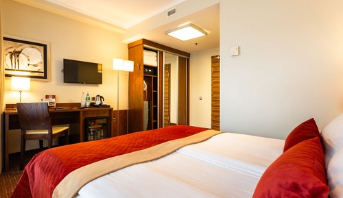 Habitación estándar con 1 cama doble o 2 individuales