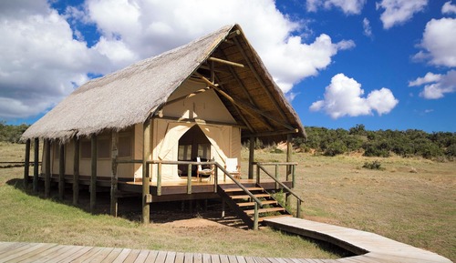 Tienda de lujo