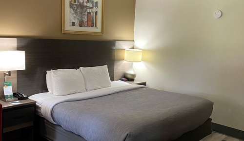 Habitación estándar, 1 cama de matrimonio, no fumadores (Sofa)