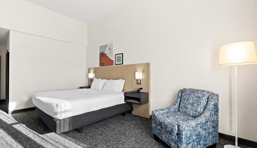 Estudio, 1 cama de matrimonio grande