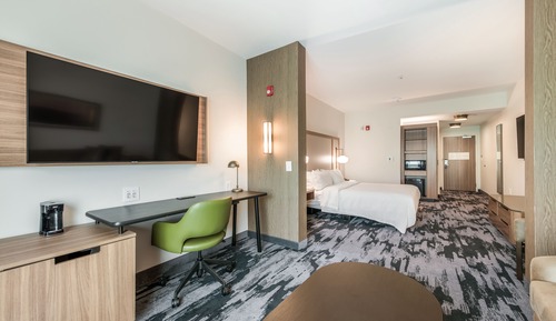 Suite estudio, 1 cama de matrimonio grande con sofá cama (Mobility/Hearing Access, Roll-In Shwr)