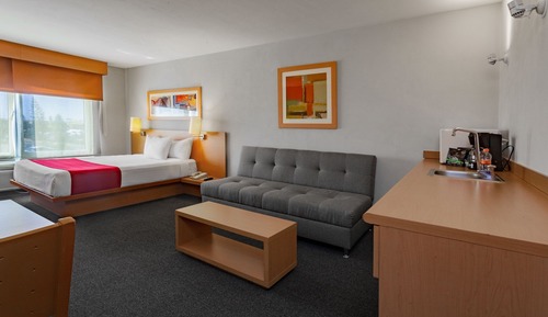 Suite, 1 cama de matrimonio con sofá cama