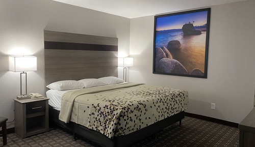 Habitación estándar, 1 cama de matrimonio grande