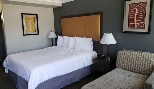 Habitación estándar, 1 cama de matrimonio grande