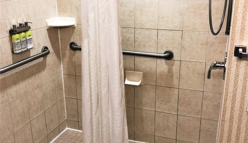 Habitación estándar, 1 cama de matrimonio grande (Mobility Roll-In Shower)