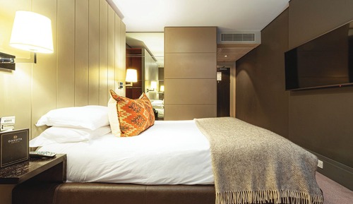 Habitación ejecutiva, 1 cama de matrimonio