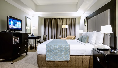 Estudio ejecutivo, 1 cama de matrimonio grande, baño privado