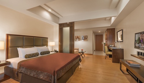 Estudio Premier, 1 cama de matrimonio grande, baño privado
