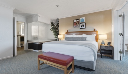 Suite, 1 cama de matrimonio grande con sofá cama