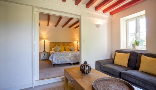 Suite sénior, vistas al viñedo