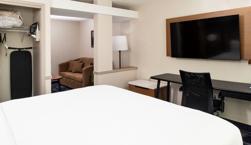 Suite ejecutiva, 1 cama de matrimonio grande con sofá cama