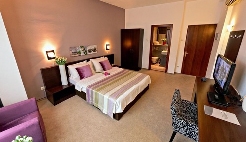Habitación ejecutiva (with IPad Tablet)