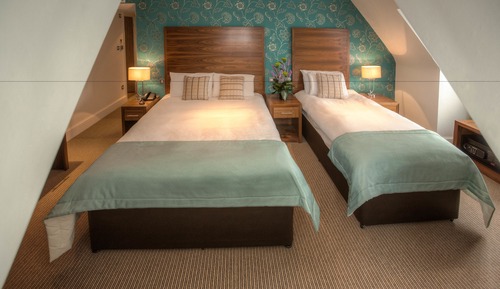 Habitación ejecutiva con 2 camas individuales (2 Single beds)