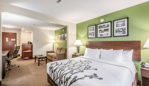 Suite, 1 cama de matrimonio grande, no fumadores