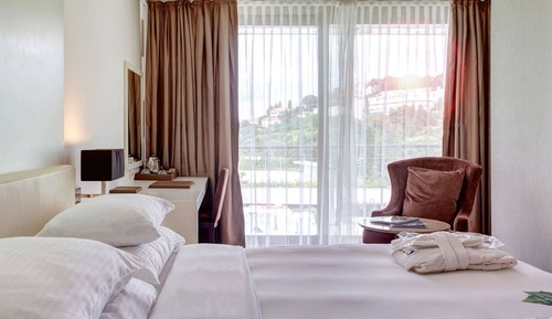 Habitación clásica, 2 camas individuales, vistas al parque