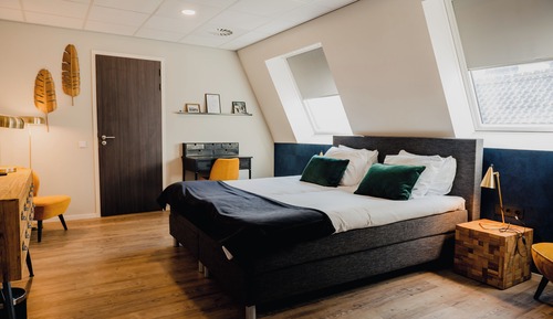 Habitación ejecutiva con 2 camas individuales