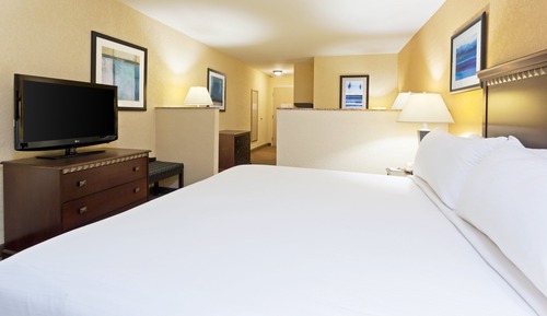 Suite, 1 cama de matrimonio grande, accesible para personas con discapacidad, no fumadores (Comm)