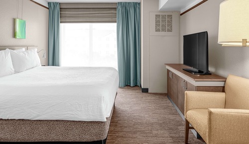 Junior Suite, 1 King Bed with Sofabed