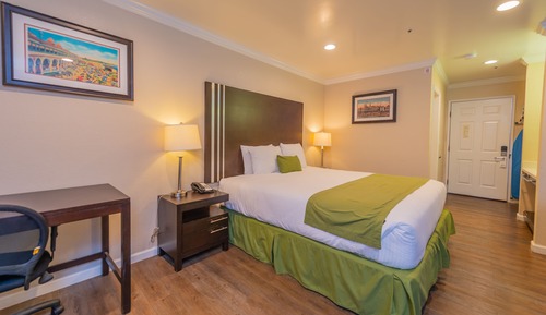 Habitación estándar, 1 cama de matrimonio grande