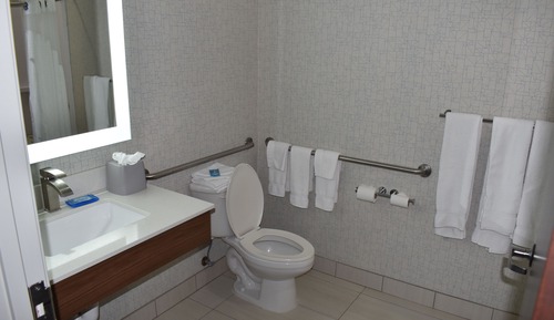 Suite, 1 cama de matrimonio grande (Mobility, Roll-In Shower)