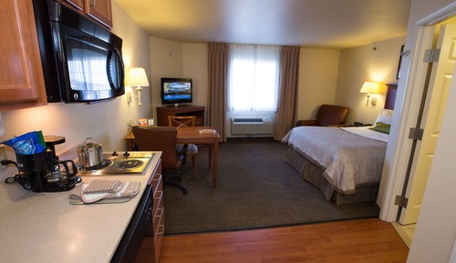 Suite estudio