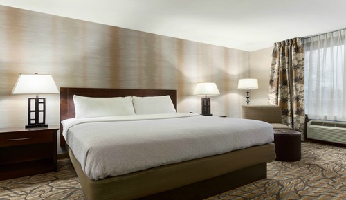 Habitación estándar, 1 cama de matrimonio grande