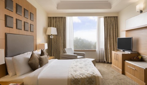 Suite familiar, varias camas