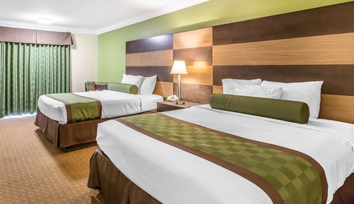 Habitación estándar, 2 camas de matrimonio, no fumadores