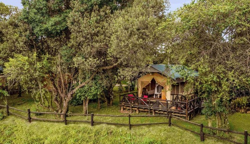 Tienda estándar, 1 cama doble (Riverfront Tent)