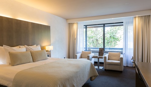 Habitación Deluxe