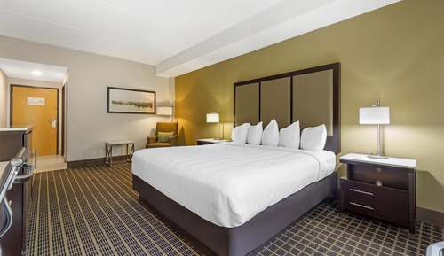 Habitación estándar, 1 cama de matrimonio grande, no fumadores