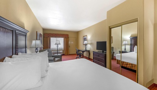 Habitación ejecutiva, 1 cama de matrimonio grande, no fumadores, frigorífico y microondas