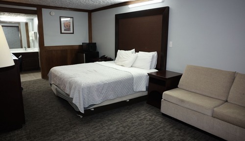 Habitación individual estándar, 1 cama de matrimonio grande