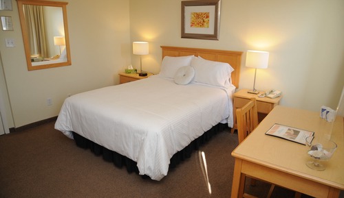 Habitación estándar, 1 cama de matrimonio