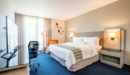 Executive Superior Room - 1 King Bed