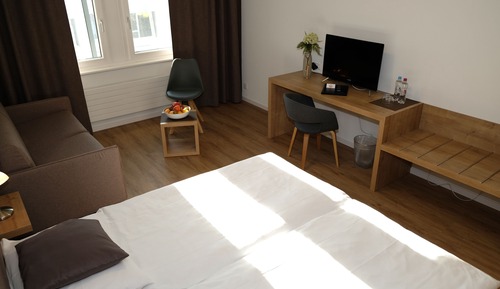 Habitación superior con 1 cama doble o 2 individuales (Double Bed & Sofa)