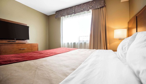Suite, 1 cama de matrimonio grande con sofá cama, no fumadores