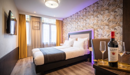 Habitación Deluxe con 1 cama doble o 2 individuales