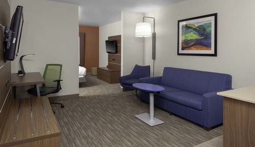 Suite, 1 habitación, chimenea (Sofa Bed)